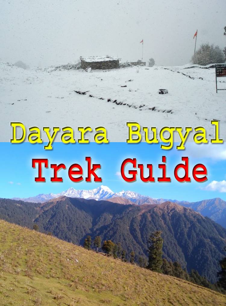 Dayara Bugyal Trek Guide